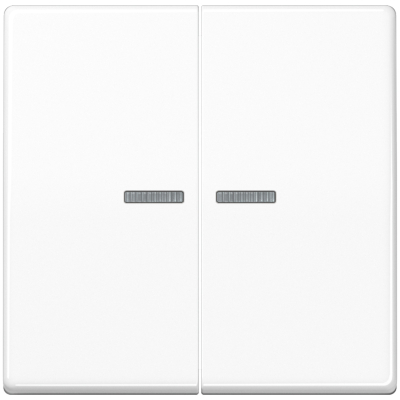 JUNG Serienwippe AS591-5K05WW 2-fach mit Lichtleiter alpinweiß